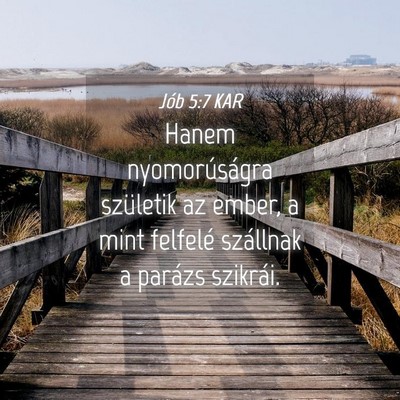 Picture 04 - Jób 5:7 KAR - Hanem nyomorúságra születik az ember, a mint - Bible Verse Picture