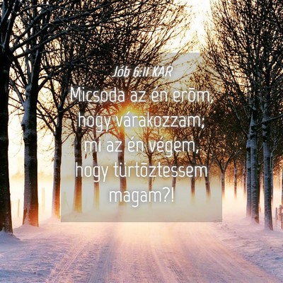 Picture 04 - Jób 6:11 KAR - Micsoda az én erõm, hogy várakozzam; mi az én - Bible Verse Picture