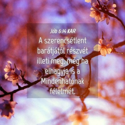 Picture 04 - Jób 6:14 KAR - A szerencsétlent barátjától részvét illeti - Bible Verse Picture
