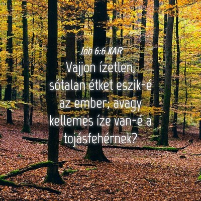 Picture 04 - Jób 6:6 KAR - Vajjon ízetlen, sótalan étket eszik-é az - Bible Verse Picture