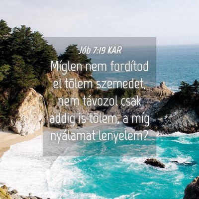Picture 04 - Jób 7:19 KAR - Míglen nem fordítod el tõlem szemedet, nem - Bible Verse Picture