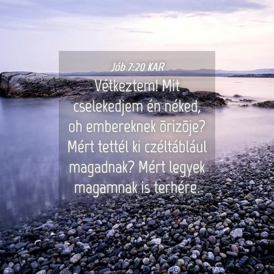 Picture 04 - Jób 7:20 KAR - Vétkeztem! Mit cselekedjem én néked, oh - Bible Verse Picture