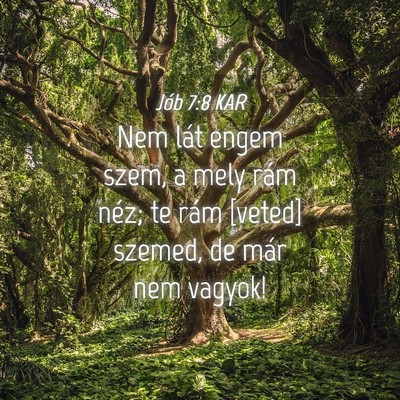 Picture 04 - Jób 7:8 KAR - Nem lát engem szem, a mely rám néz; te rám - Bible Verse Picture
