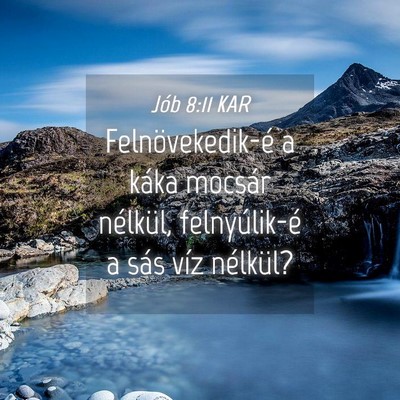 Picture 04 - Jób 8:11 KAR - Felnövekedik-é a káka mocsár nélkül, - Bible Verse Picture