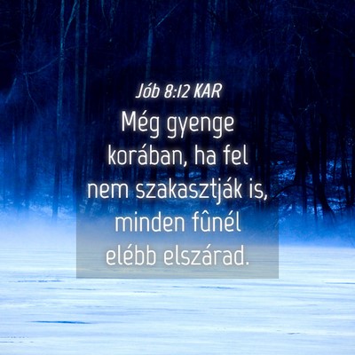 Picture 04 - Jób 8:12 KAR - Még gyenge korában, ha fel nem szakasztják is, - Bible Verse Picture
