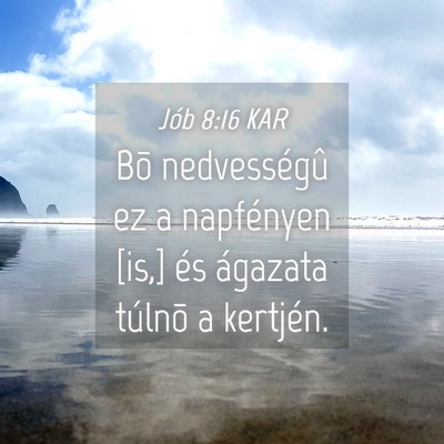 Picture 04 - Jób 8:16 KAR - Bõ nedvességû ez a napfényen [is,] és - Bible Verse Picture