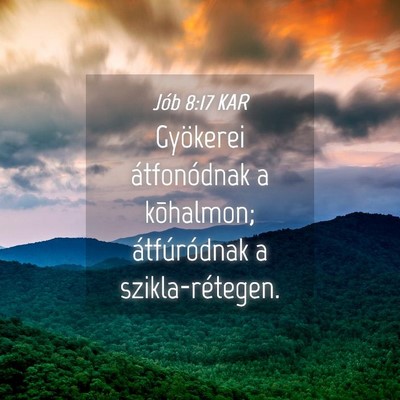 Picture 04 - Jób 8:17 KAR - Gyökerei átfonódnak a kõhalmon; átfúródnak - Bible Verse Picture