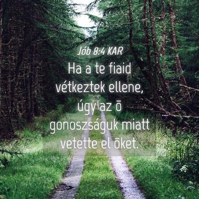 Picture 04 - Jób 8:4 KAR - Ha a te fiaid vétkeztek ellene, úgy az õ - Bible Verse Picture