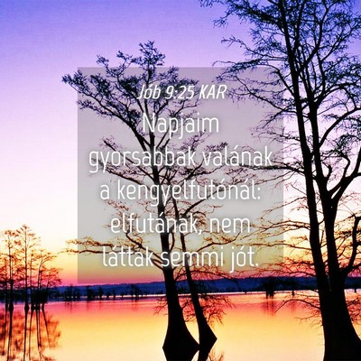 Picture 04 - Jób 9:25 KAR - Napjaim gyorsabbak valának a kengyelfutónál: - Bible Verse Picture