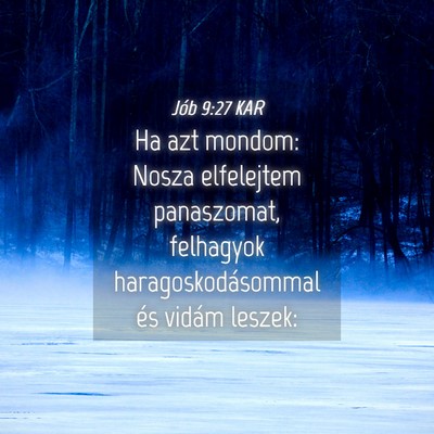 Picture 04 - Jób 9:27 KAR - Ha azt mondom: Nosza elfelejtem panaszomat, - Bible Verse Picture