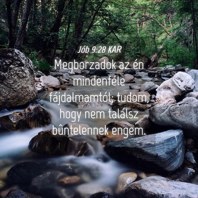 Picture 04 - Jób 9:28 KAR - Megborzadok az én mindenféle fájdalmamtól; - Bible Verse Picture