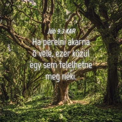Picture 04 - Jób 9:3 KAR - Ha perelni akarna õ vele, ezer közül egy sem - Bible Verse Picture