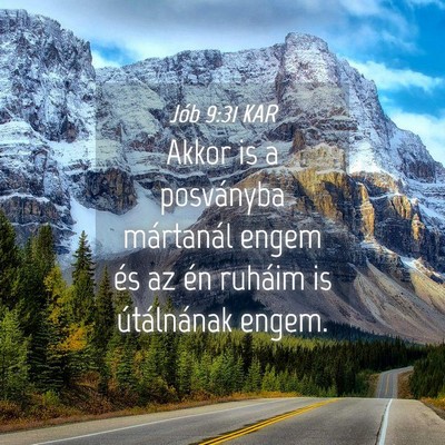 Picture 04 - Jób 9:31 KAR - Akkor is a posványba mártanál engem és az én - Bible Verse Picture