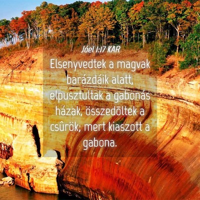 Picture 04 - Jóel 1:17 KAR - Elsenyvedtek a magvak barázdáik alatt, - Bible Verse Picture