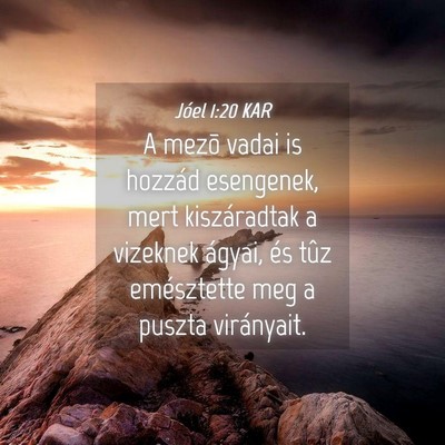 Picture 04 - Jóel 1:20 KAR - A mezõ vadai is hozzád esengenek, mert - Bible Verse Picture