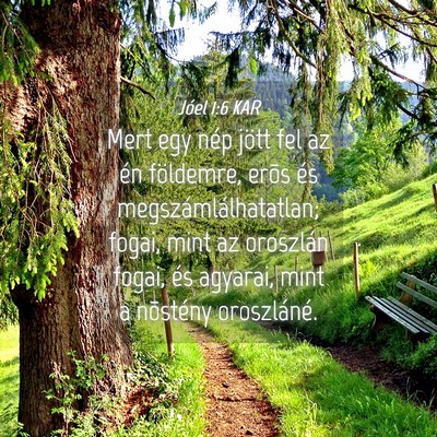 Picture 04 - Jóel 1:6 KAR - Mert egy nép jött fel az én földemre, erõs - Bible Verse Picture