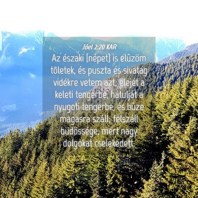 Picture 04 - Jóel 2:20 KAR - Az északi [népet] is elûzöm tõletek, és - Bible Verse Picture