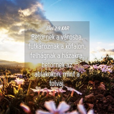 Picture 04 - Jóel 2:9 KAR - Betörnek a városba, futkároznak a kõfalon, - Bible Verse Picture