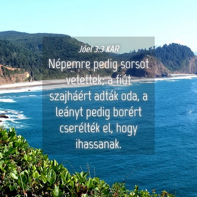 Picture 04 - Jóel 3:3 KAR - Népemre pedig sorsot vetettek; a fiút - Bible Verse Picture