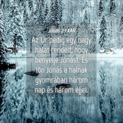 Picture 04 - Jónás 2:1 KAR - Az Úr pedig egy nagy halat rendelt, hogy - Bible Verse Picture