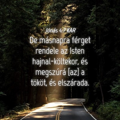 Picture 04 - Jónás 4:7 KAR - De másnapra férget rendele az Isten - Bible Verse Picture