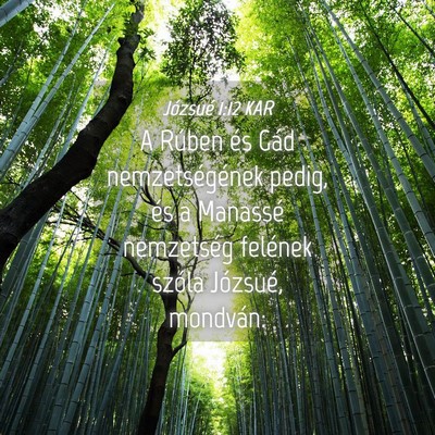 Picture 04 - Józsué 1:12 KAR - A Rúben és Gád nemzetségének pedig, és a - Bible Verse Picture