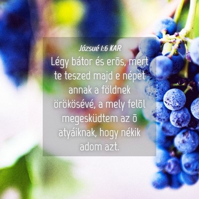 Picture 04 - Józsué 1:6 KAR - Légy bátor és erõs, mert te teszed majd e - Bible Verse Picture