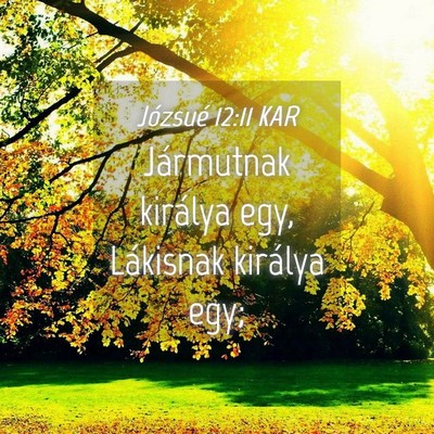 Picture 04 - Józsué 12:11 KAR - Jármutnak királya egy, Lákisnak királya - Bible Verse Picture