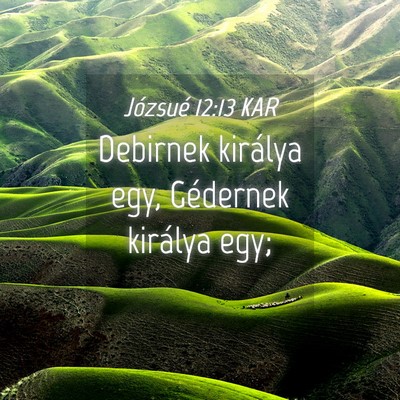 Picture 04 - Józsué 12:13 KAR - Debirnek királya egy, Gédernek királya - Bible Verse Picture