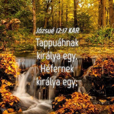 Picture 04 - Józsué 12:17 KAR - Tappuáhnak királya egy, Héfernek királya - Bible Verse Picture