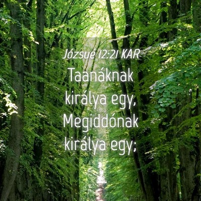 Picture 04 - Józsué 12:21 KAR - Taanáknak királya egy, Megiddónak királya - Bible Verse Picture