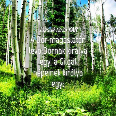 Picture 04 - Józsué 12:23 KAR - A Dór magaslatán levõ Dórnak királya egy, a - Bible Verse Picture