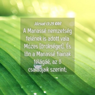 Picture 04 - Józsué 13:29 KAR - A Manassé nemzetség felének is adott vala - Bible Verse Picture