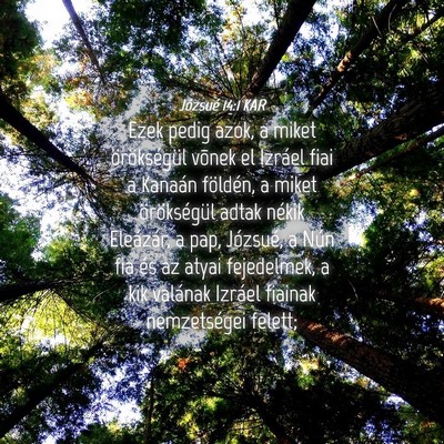 Picture 04 - Józsué 14:1 KAR - Ezek pedig azok, a miket örökségül võnek el - Bible Verse Picture