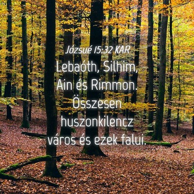 Picture 04 - Józsué 15:32 KAR - Lebaóth, Silhim, Ain és Rimmon. Összesen - Bible Verse Picture
