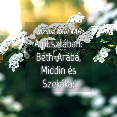 Picture 04 - Józsué 15:61 KAR - A pusztában: Béth-Arábá, Middin és - Bible Verse Picture