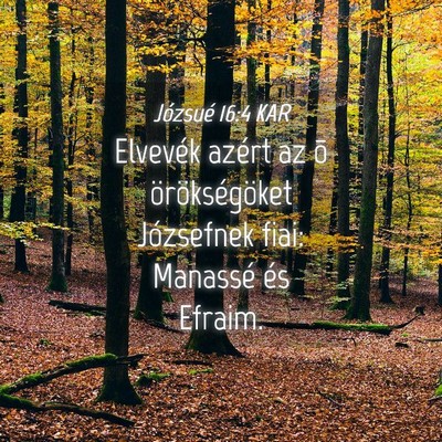 Picture 04 - Józsué 16:4 KAR - Elvevék azért az õ örökségöket Józsefnek - Bible Verse Picture