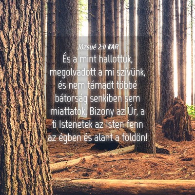 Picture 04 - Józsué 2:11 KAR - És a mint hallottuk, megolvadott a mi szívünk, - Bible Verse Picture