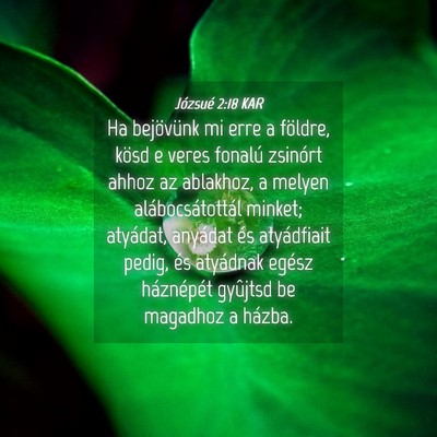 Picture 04 - Józsué 2:18 KAR - Ha bejövünk mi erre a földre, kösd e veres - Bible Verse Picture