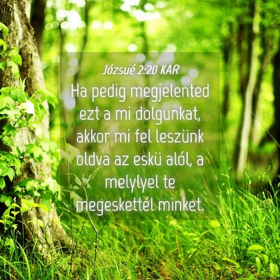 Picture 04 - Józsué 2:20 KAR - Ha pedig megjelented ezt a mi dolgunkat, akkor mi - Bible Verse Picture