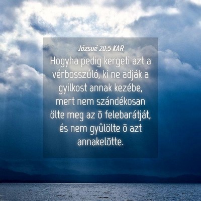 Picture 04 - Józsué 20:5 KAR - Hogyha pedig kergeti azt a vérbosszúló, ki ne - Bible Verse Picture