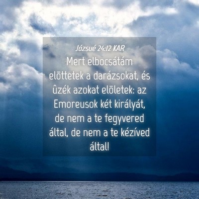 Picture 04 - Józsué 24:12 KAR - Mert elbocsátám elõttetek a darázsokat, és - Bible Verse Picture