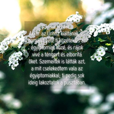 Picture 04 - Józsué 24:7 KAR - Akkor az Úrhoz kiáltának, és homályt vete ti - Bible Verse Picture
