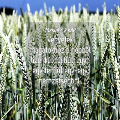 Picture 04 - Józsué 4:2 KAR - Vegyetek magatokhoz a népbõl tizenkét - Bible Verse Picture