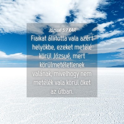 Picture 04 - Józsué 5:7 KAR - Fiaikat állította vala azért helyökbe, ezeket - Bible Verse Picture