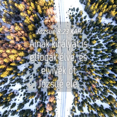 Picture 04 - Józsué 8:23 KAR - Ainak királyát is elfogák élve, és elvivék - Bible Verse Picture