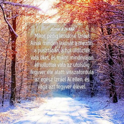 Picture 04 - Józsué 8:24 KAR - Mikor pedig leöldösé Izráel Ainak minden - Bible Verse Picture