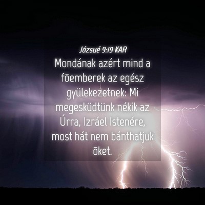 Picture 04 - Józsué 9:19 KAR - Mondának azért mind a fõemberek az egész - Bible Verse Picture