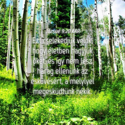 Picture 04 - Józsué 9:20 KAR - Ezt cselekedjük velök, hogy életben hagyjuk - Bible Verse Picture