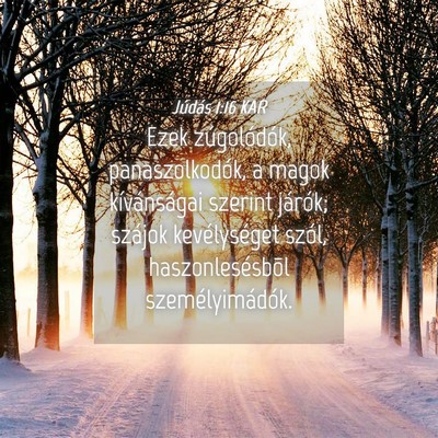 Picture 04 - Júdás 1:16 KAR - Ezek zúgolódók, panaszolkodók, a magok - Bible Verse Picture